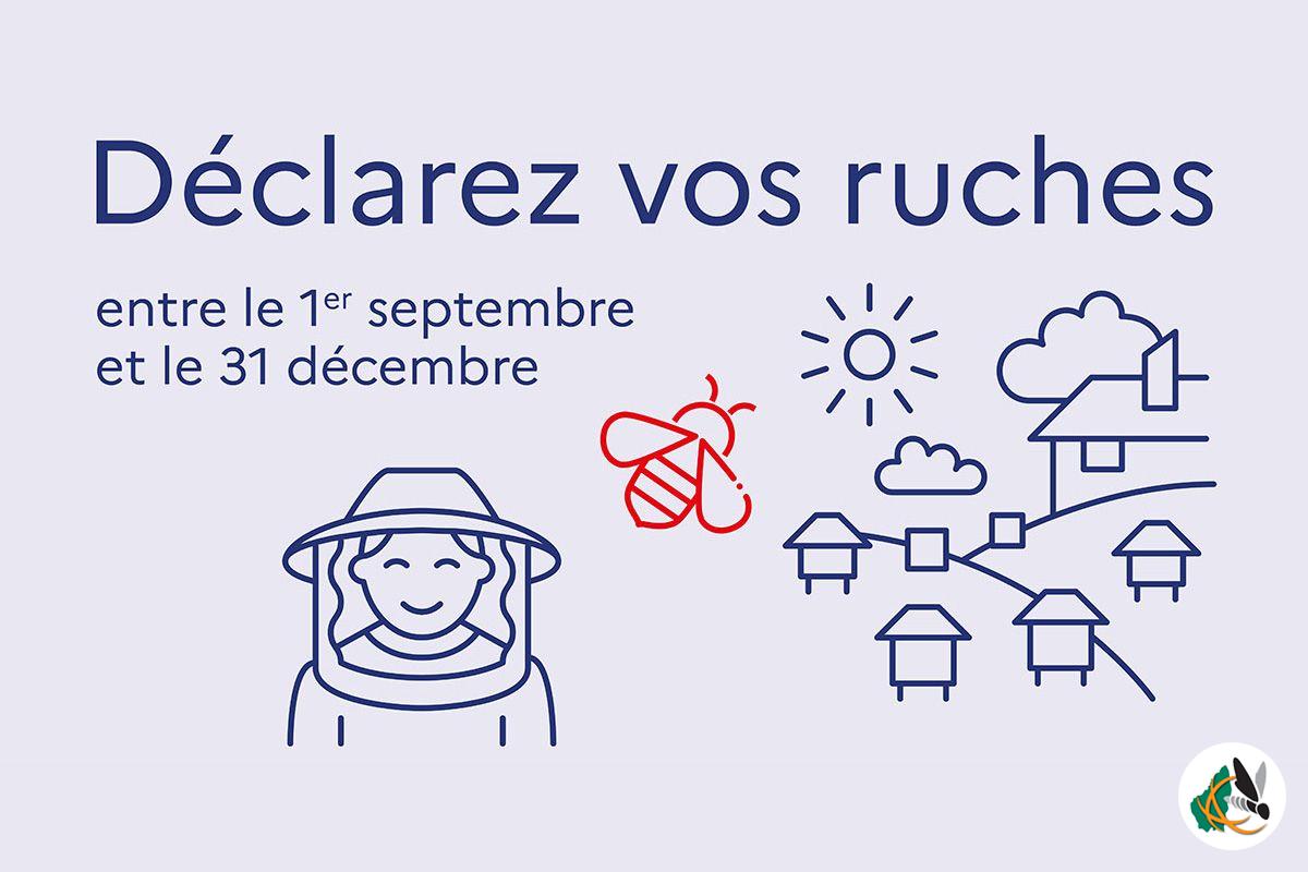 Déclaration de ruches