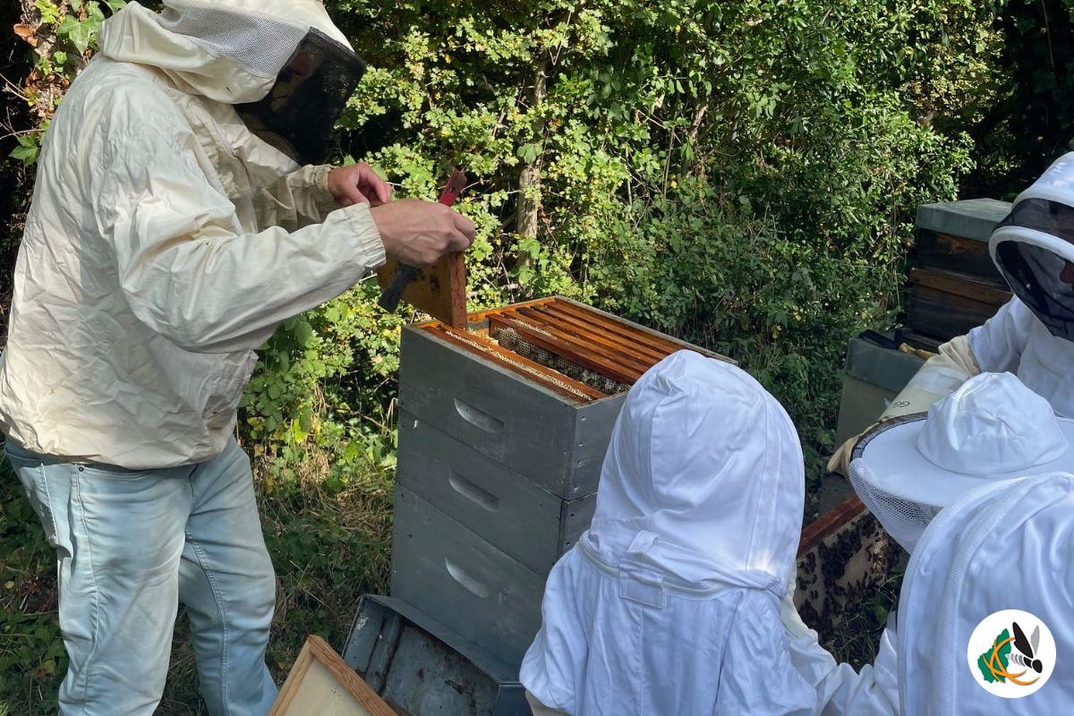 Rucher pédagogique de Guilherand-Granges