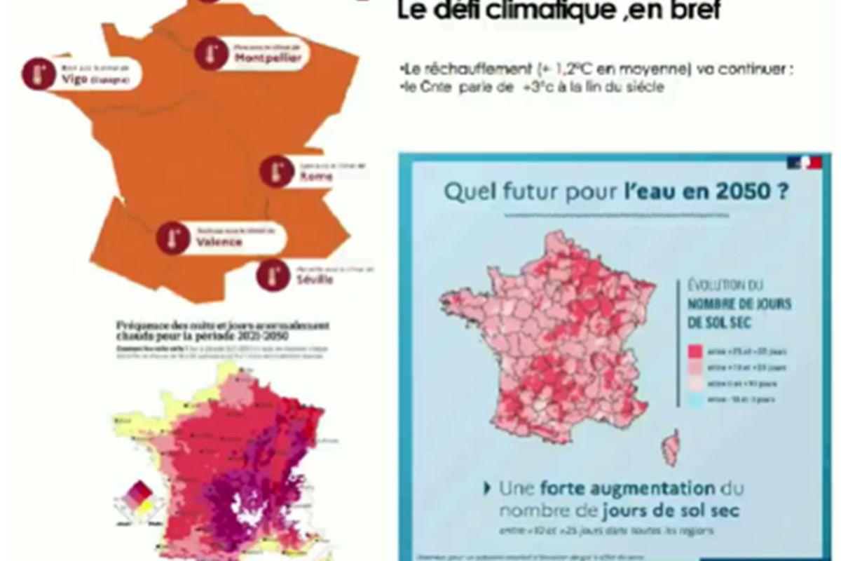 Yves DARRICAU, planter pour les abeilles